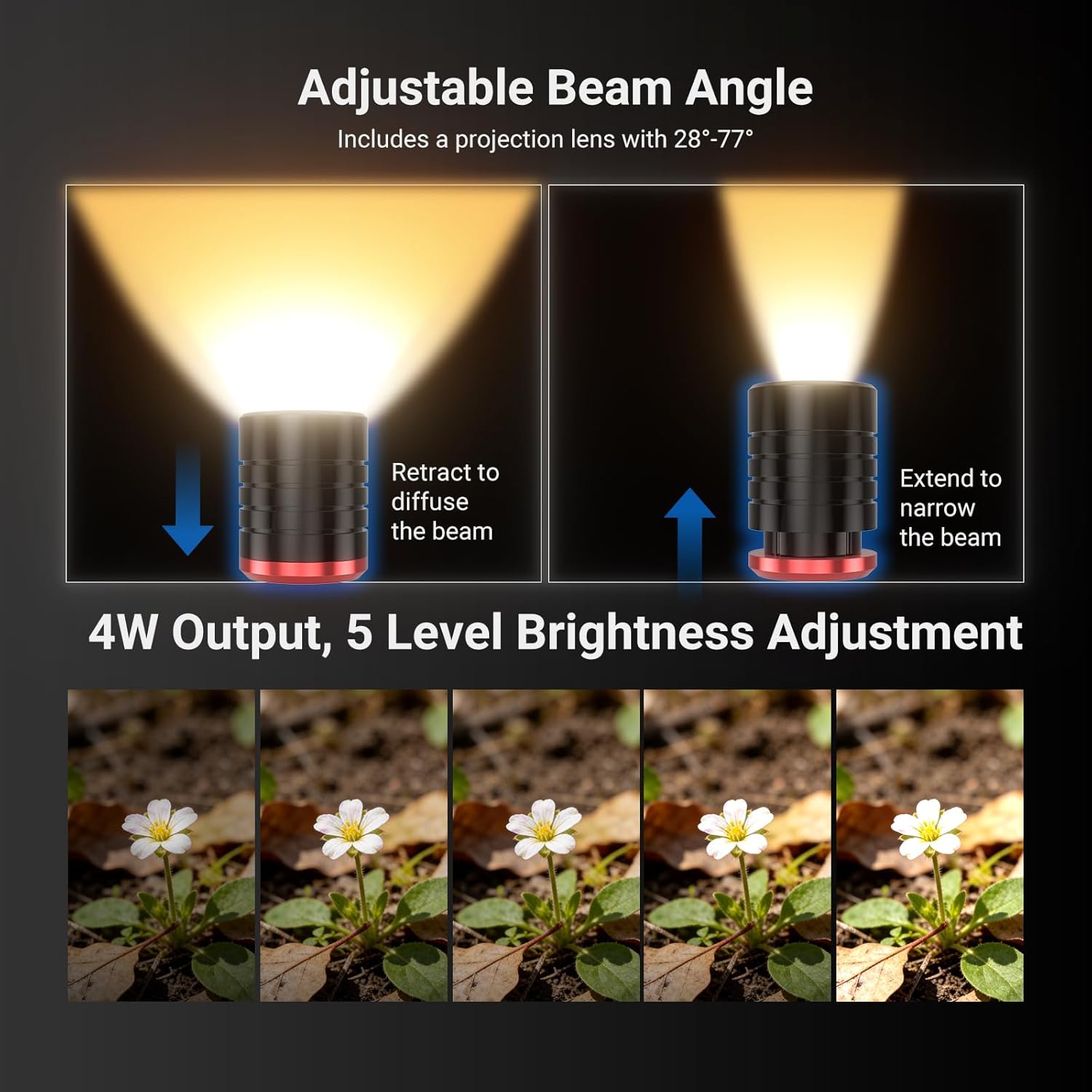 NEEWER BASICS 2'li Paket ML01  - Photography Lighting Basics incelemesi ve fiyatı